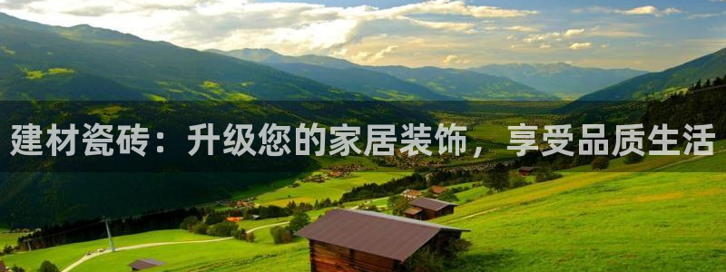 杏鑫平台代理注册流程及费用