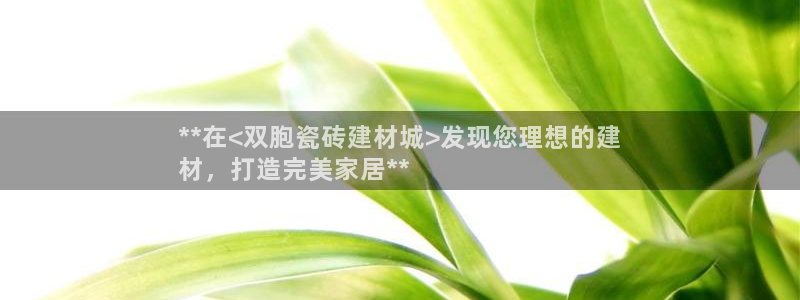 杏鑫平台代理怎么做