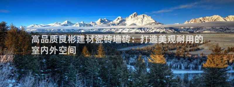 杏鑫官方平台怎么样