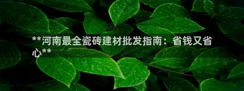 杏鑫平台怎么样