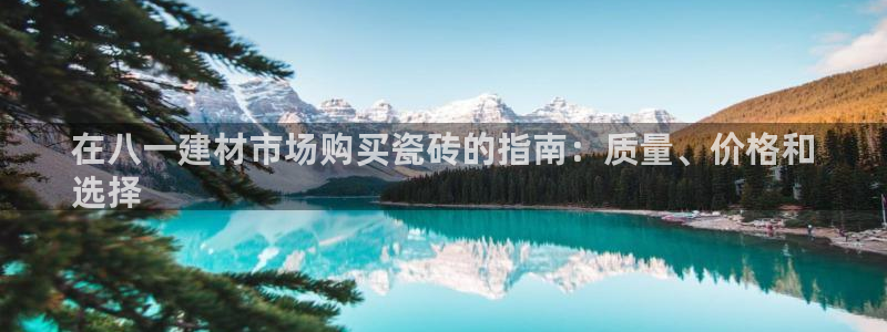 杏鑫代理注册资金多少