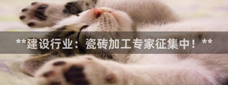 杏鑫娱乐负责人