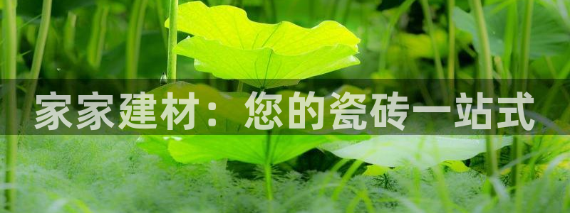 杏鑫平台代理