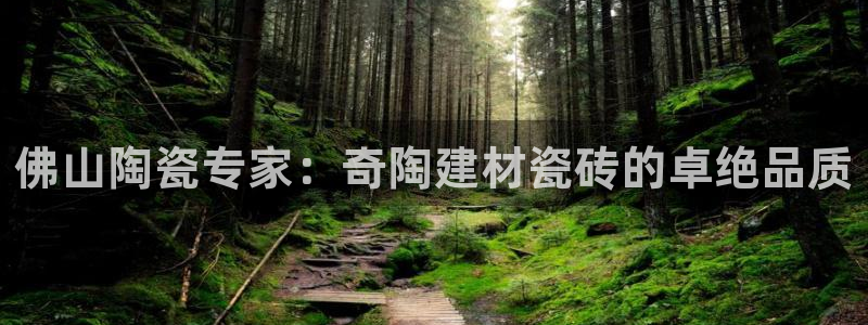 杏鑫平台代理注册流程