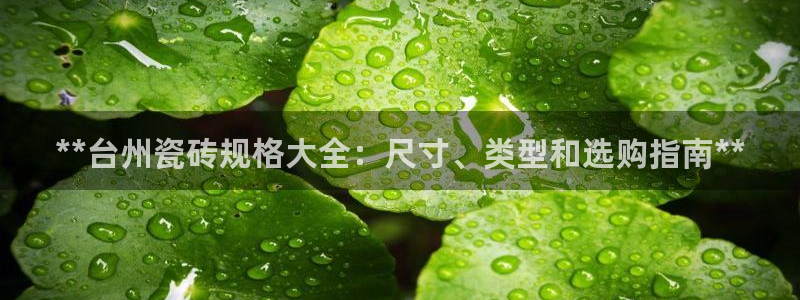 杏鑫平台代理注册流程
