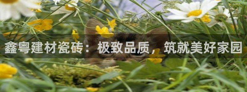 杏鑫官网注册账号密码