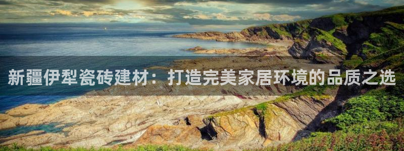 杏鑫平台代理注册流程及费用