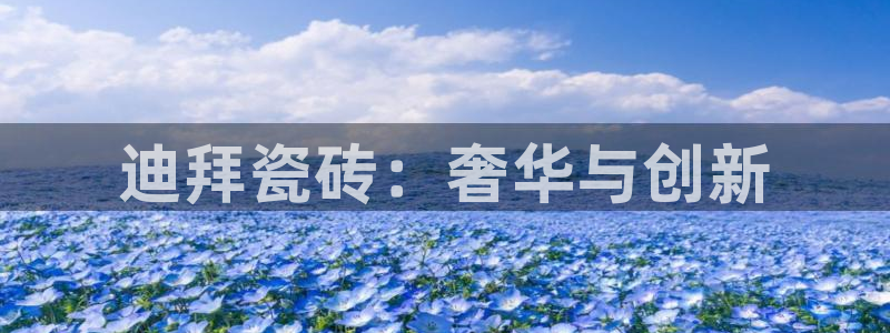 杏鑫娱乐官网下载