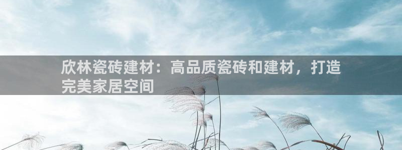 杏鑫平台代理注册多少钱一年