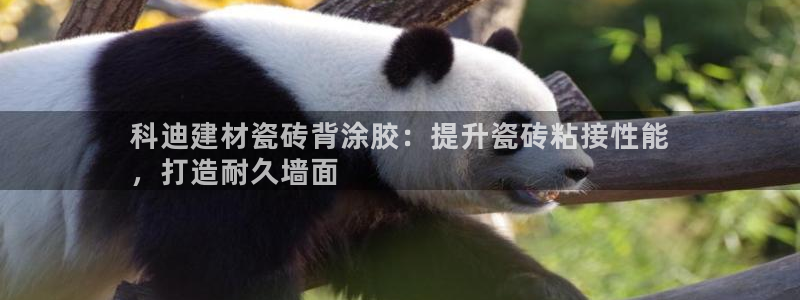 杏鑫平台下载安装