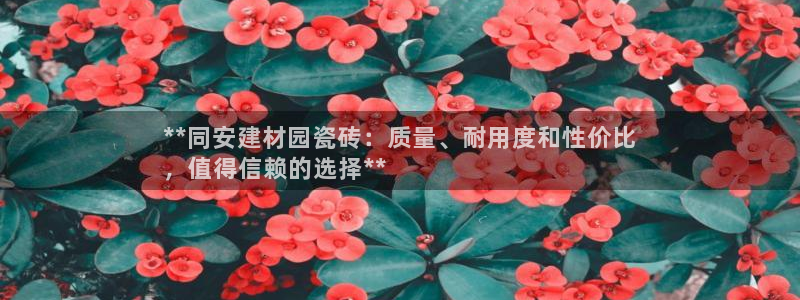 杏鑫平台正规吗可信吗