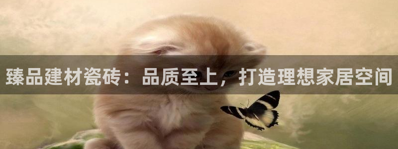 杏鑫平台注册网址查询