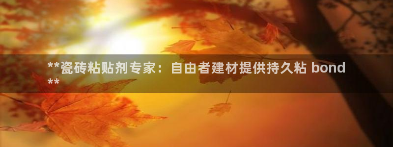 杏鑫平台代理怎么样啊