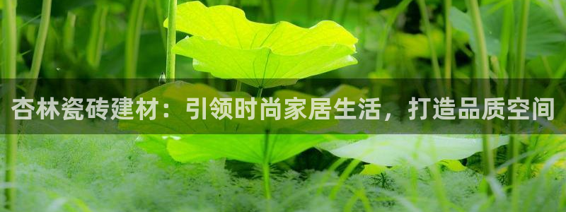 杏鑫平台代理怎么样