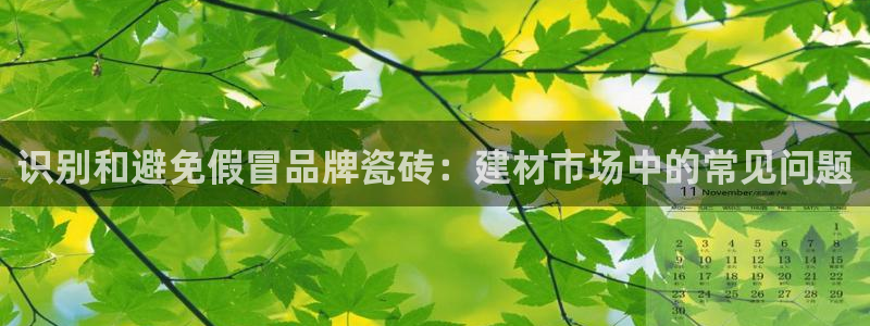 杏鑫代理注册