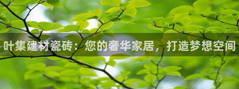 杏鑫官网注册账号