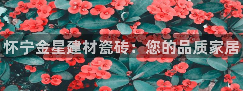 杏鑫官方平台怎么样啊可靠吗