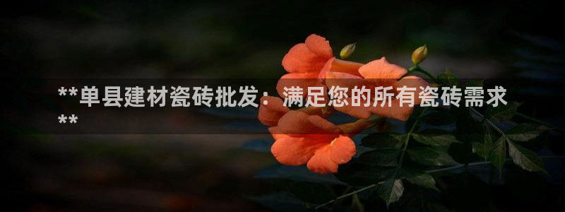 杏鑫平台测速怎么样
