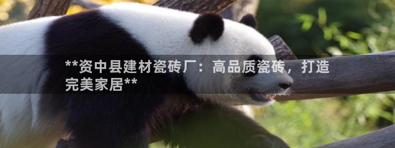杏鑫平台在线注册