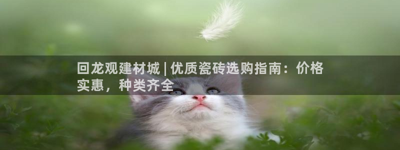 杏鑫平台念7O777