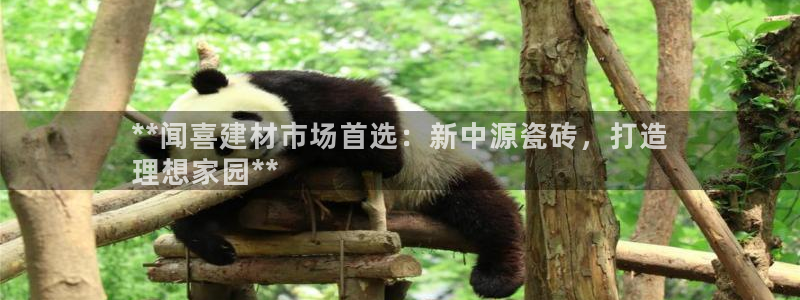杏鑫平台代理注册登录不了怎么办呀
