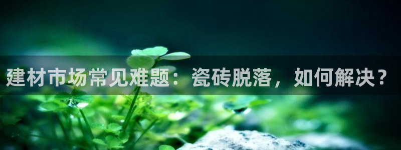杏鑫平台下载安装