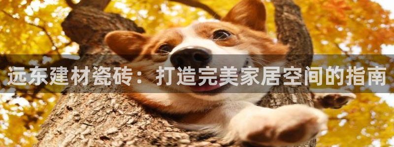 杏鑫平台列7O777