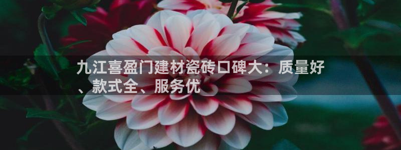 杏鑫官网最新信息新闻