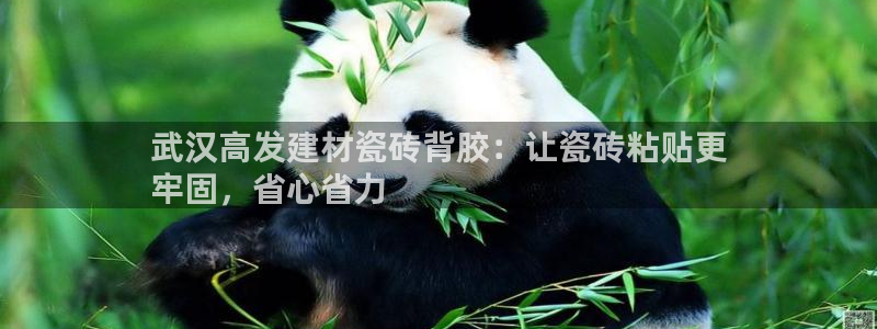 杏鑫平台提供