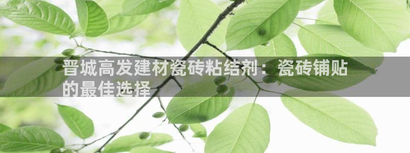 杏鑫平台直属哪个公司