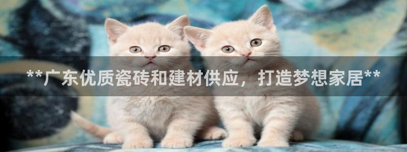 杏鑫平台登陆