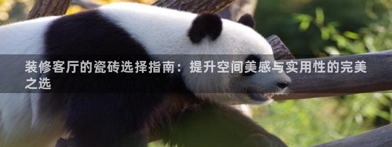 杏鑫平台靠谱吗