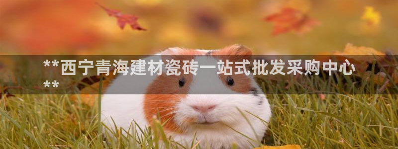杏鑫官方平台怎么样啊知乎