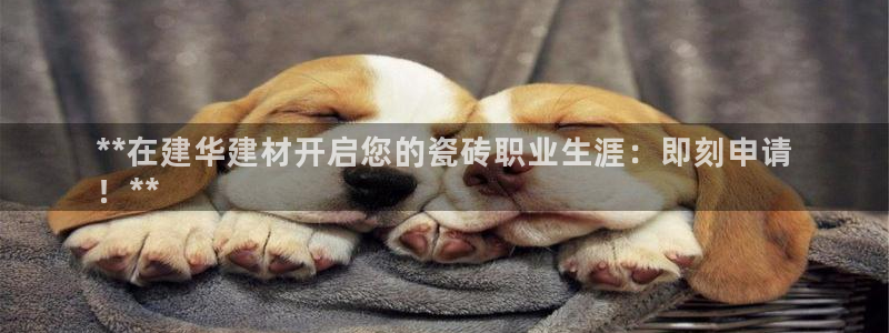 杏鑫平台招商