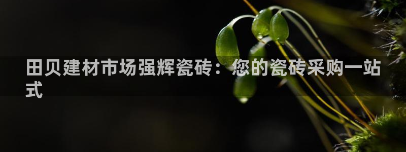 杏鑫娱乐-官方网站