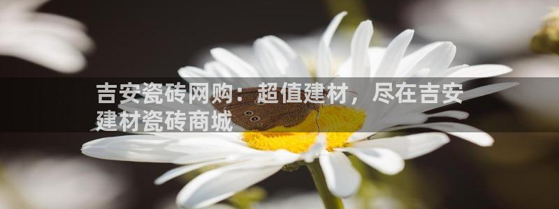 杏鑫官网注册账号是什么样的