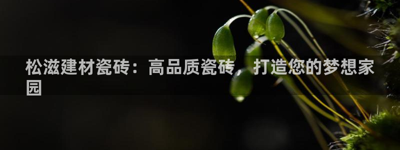 杏鑫登录注册测速