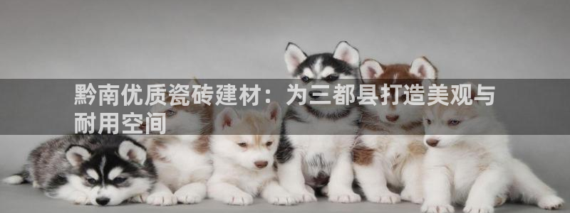 杏鑫平台野马联盟怎么样