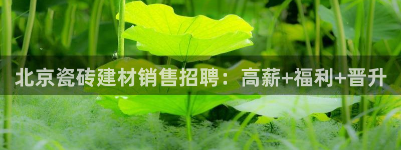 杏鑫娱乐负责人