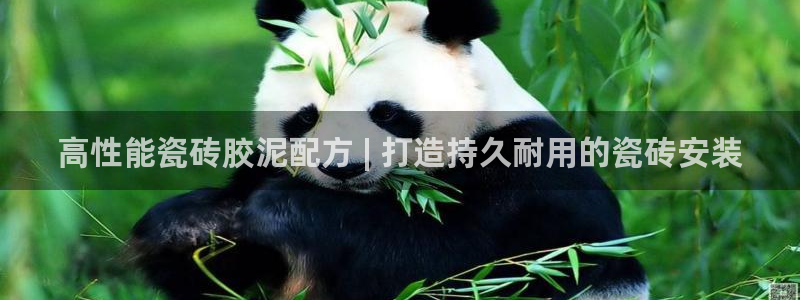 杏鑫平台代理怎么样