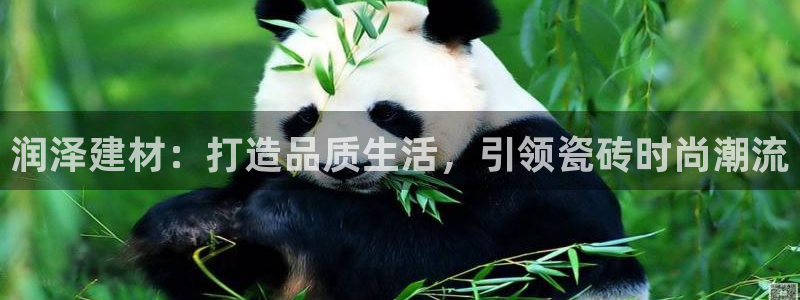 杏鑫平台测速怎么样