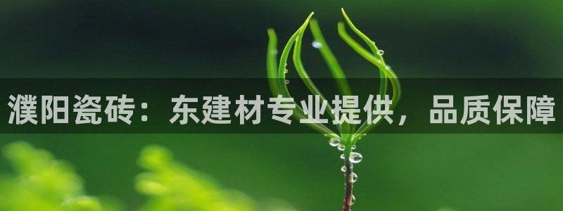 杏鑫平台怎么样黑钱吗是真的吗知乎