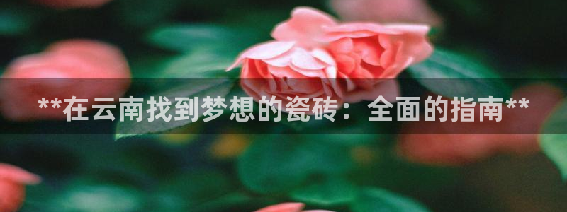 杏鑫平台怎么样黑钱吗知乎