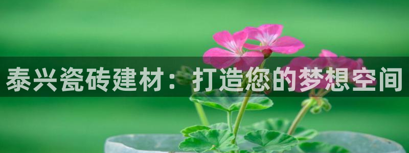 杏鑫官方平台怎么样啊