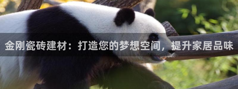 杏鑫平台招商电话号码查询