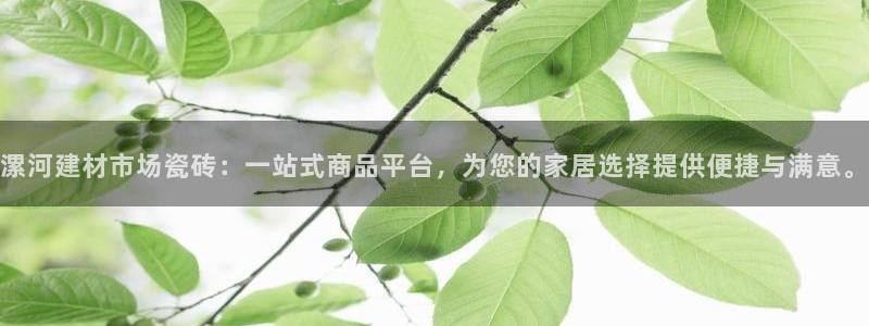 杏鑫官方平台怎么样啊安全吗