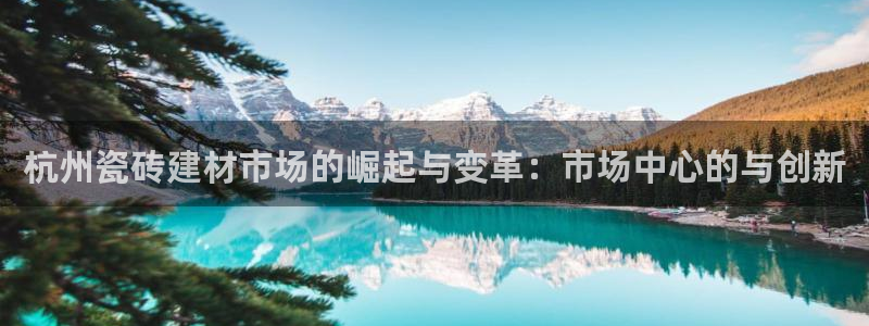 杏鑫主管