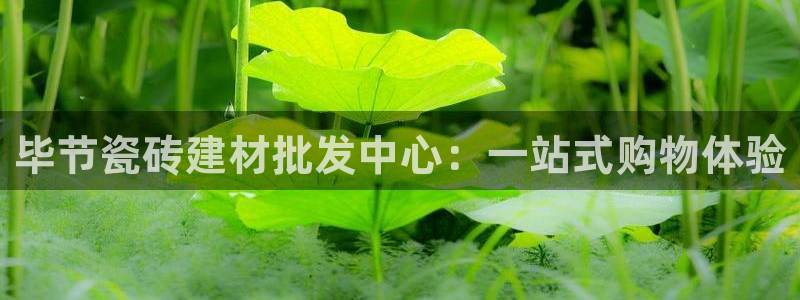 杏鑫注册登录地址