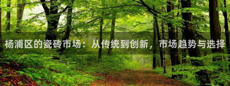 杏鑫平台代理怎么样啊