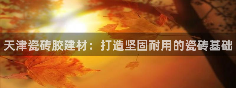 杏鑫平台代理注册登录不了怎么办呀视频